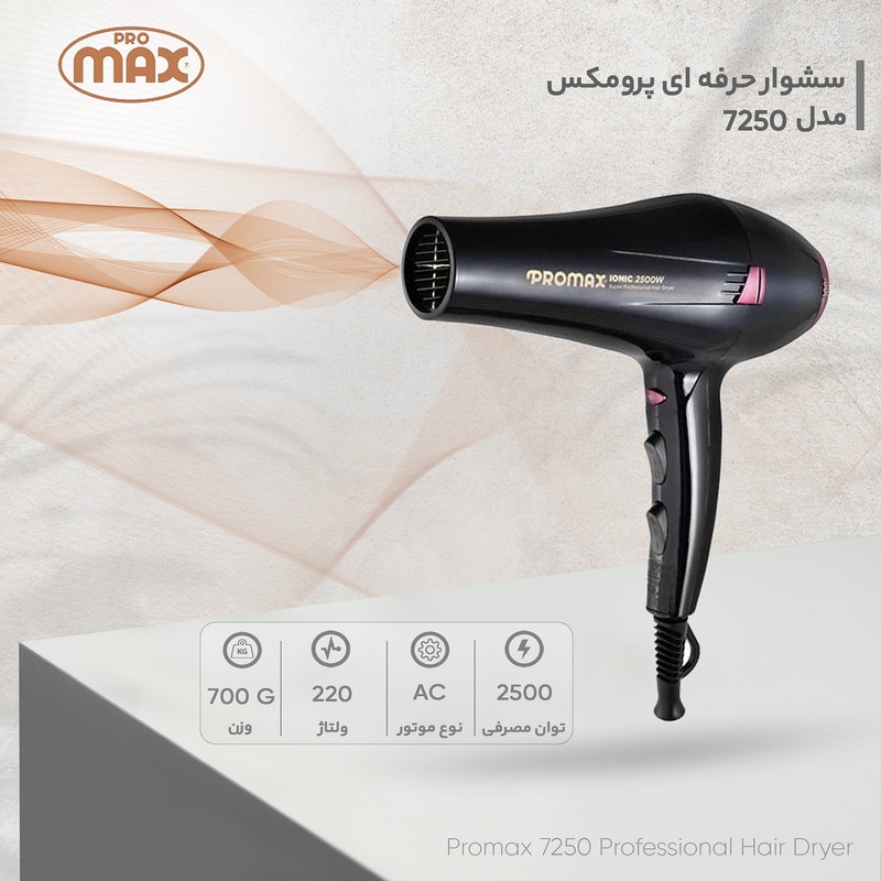 Promax professional hair dryer model 7250